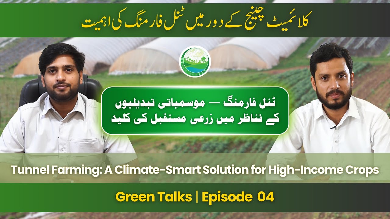 Podcast: Urban Green Spaces and Well-being